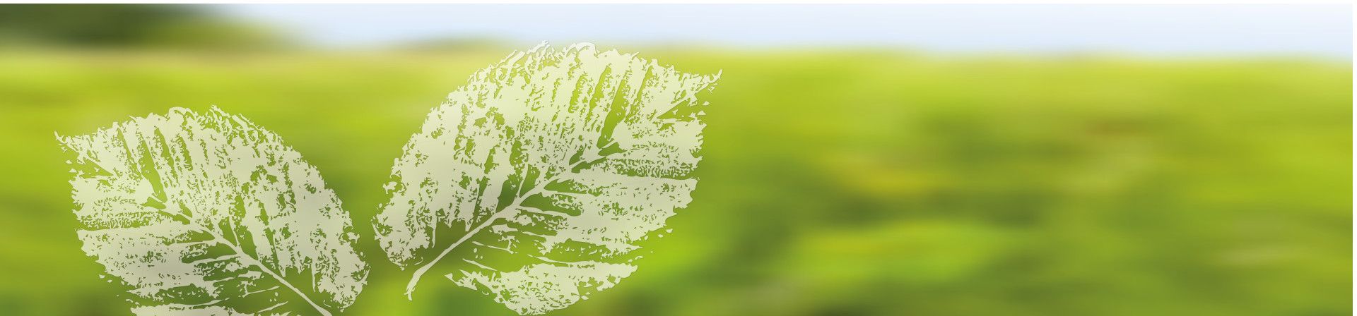 Sustainability